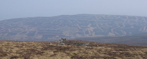 Stripped hillside